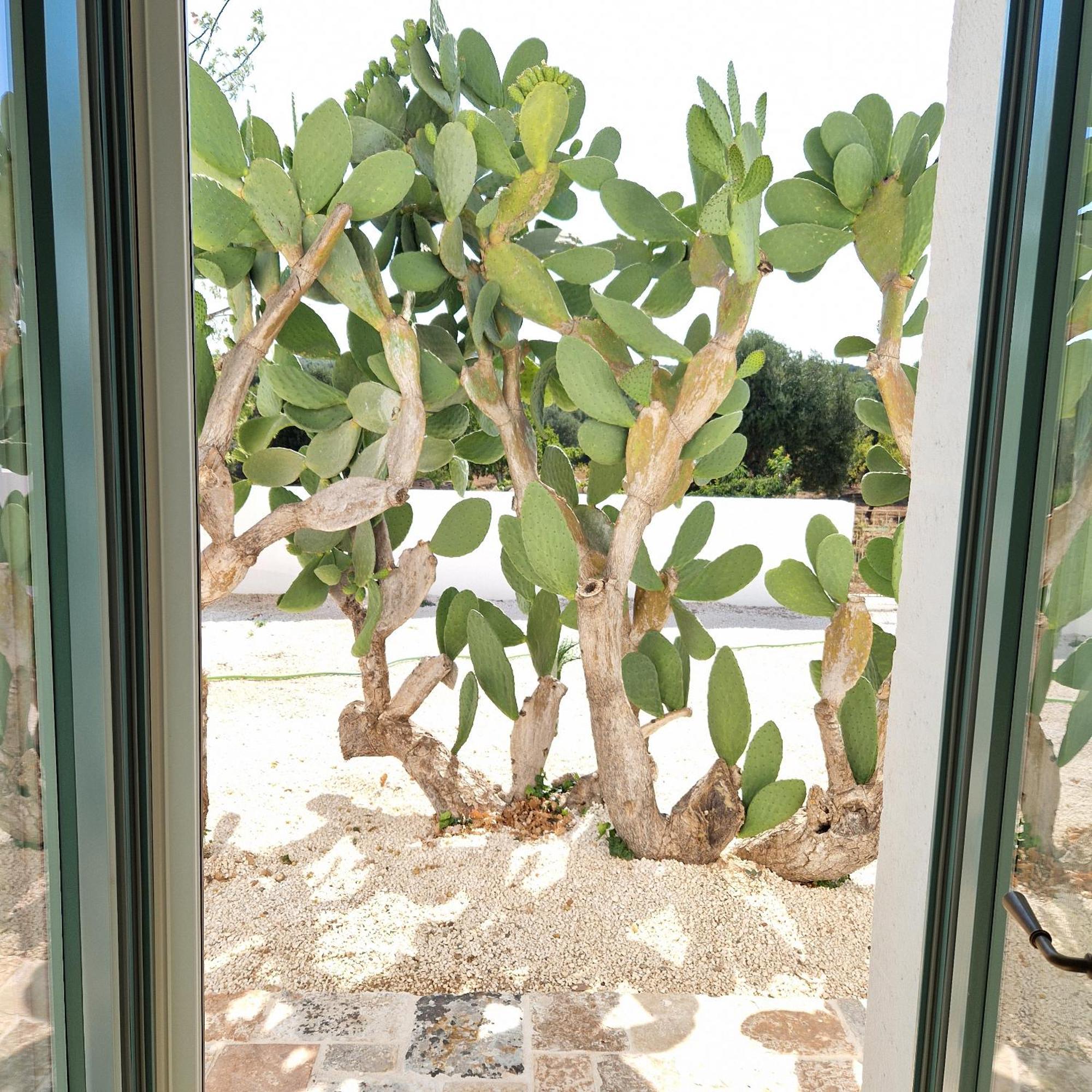 Masseria Paradiso Ostuni Eksteriør billede